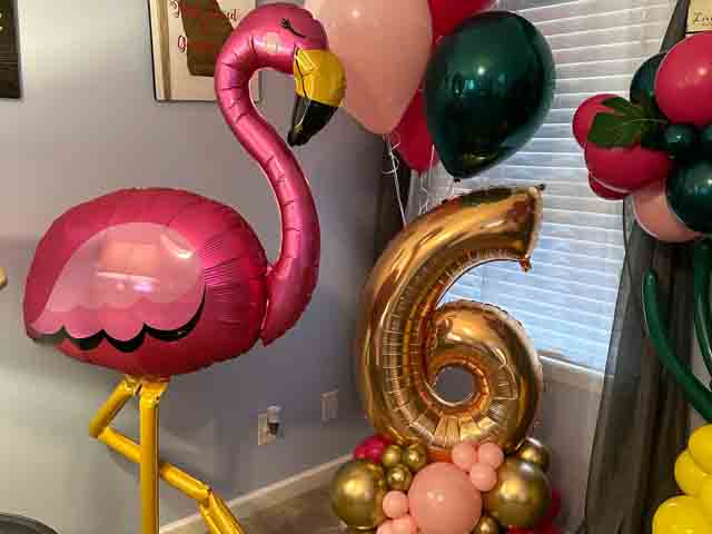 Flamingo balloon with a Number 6 Mini Organic Cloud