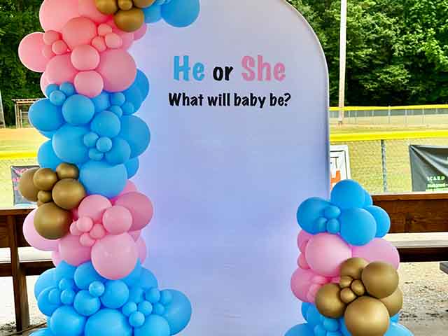 Chiara wall and balloon garland for gender reveal